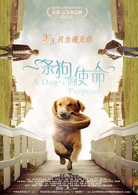 欧美国产日韩在线观看